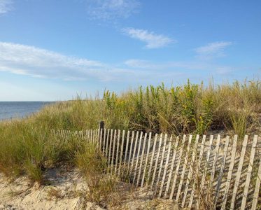 Junction & Breakwater Trail $8 Parking