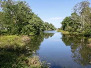 Signup for The Swamp Adventure Tour