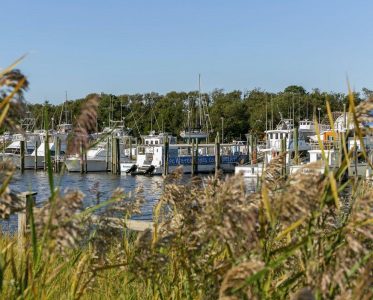 Cape Water Tours and Taxi