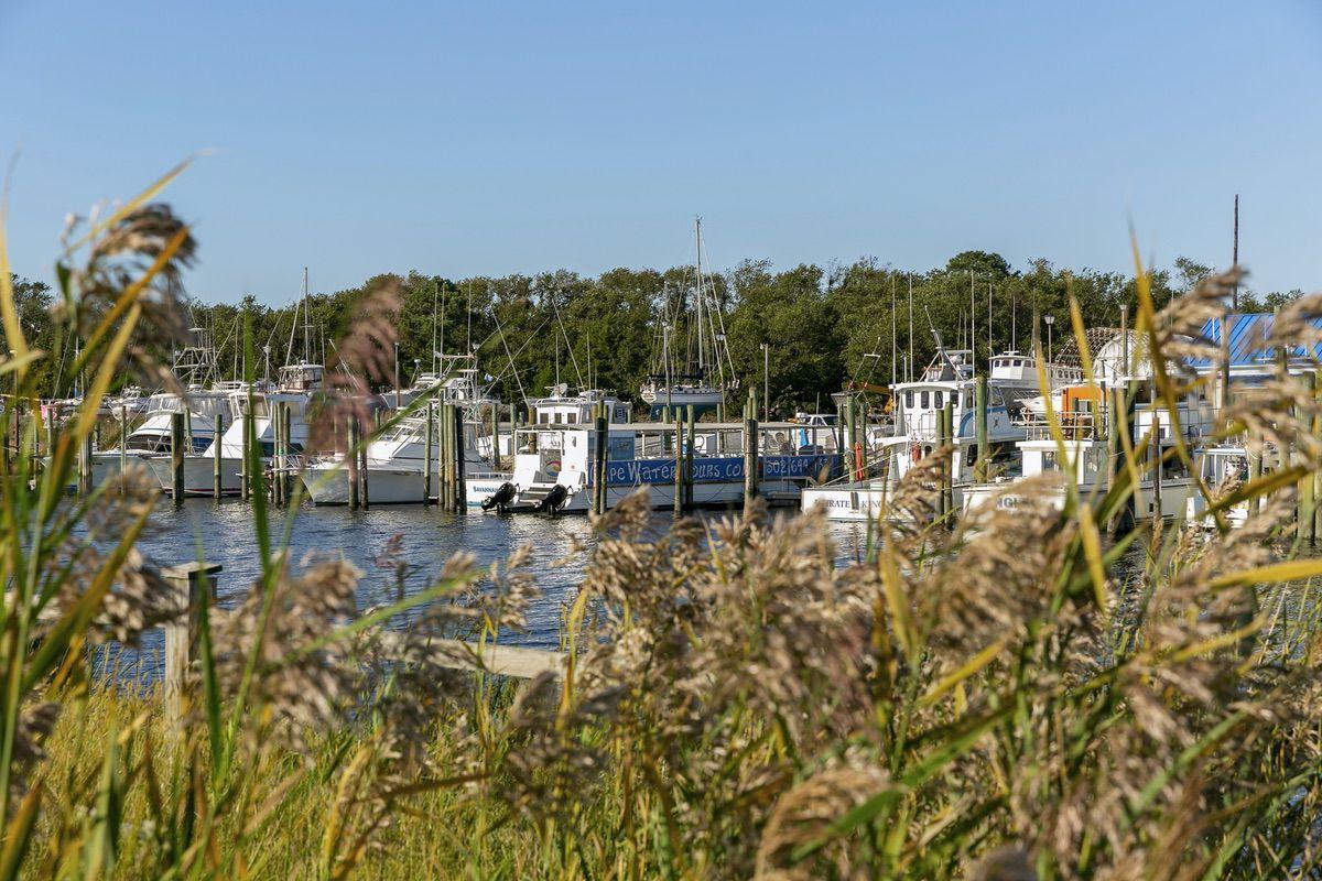 Cape Water Tours and Taxi Delawonder