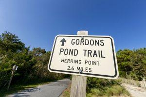 The Gordons Pond Trail, Delaware