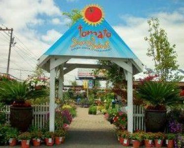 Tomato Sunshine Garden Center & Farmers Market
