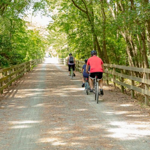 Delawonder A Visitor's Guide To Lewes & Rehoboth, Southern Delaware