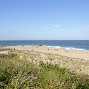Plan your visit to Lews & Rehoboth Beach