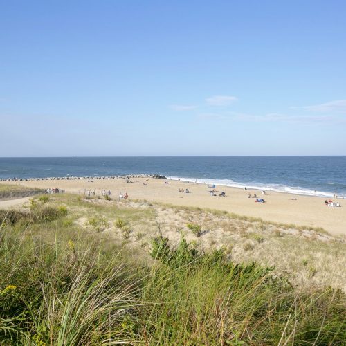 Plan your visit to Lews & Rehoboth Beach