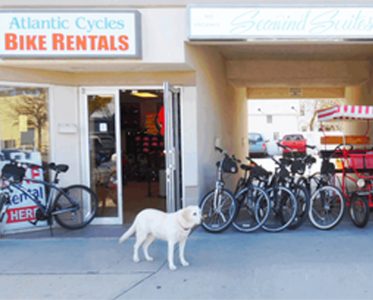 Atlantic Cycles | Wilmington Ave.