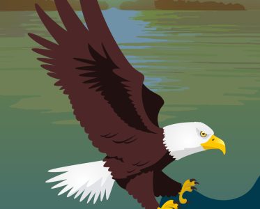 Birds to spot in Delaware