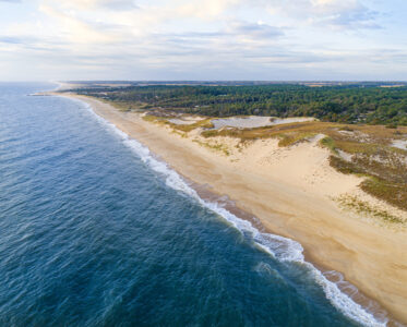 Cape Henlopen State Park: All You Need to Know