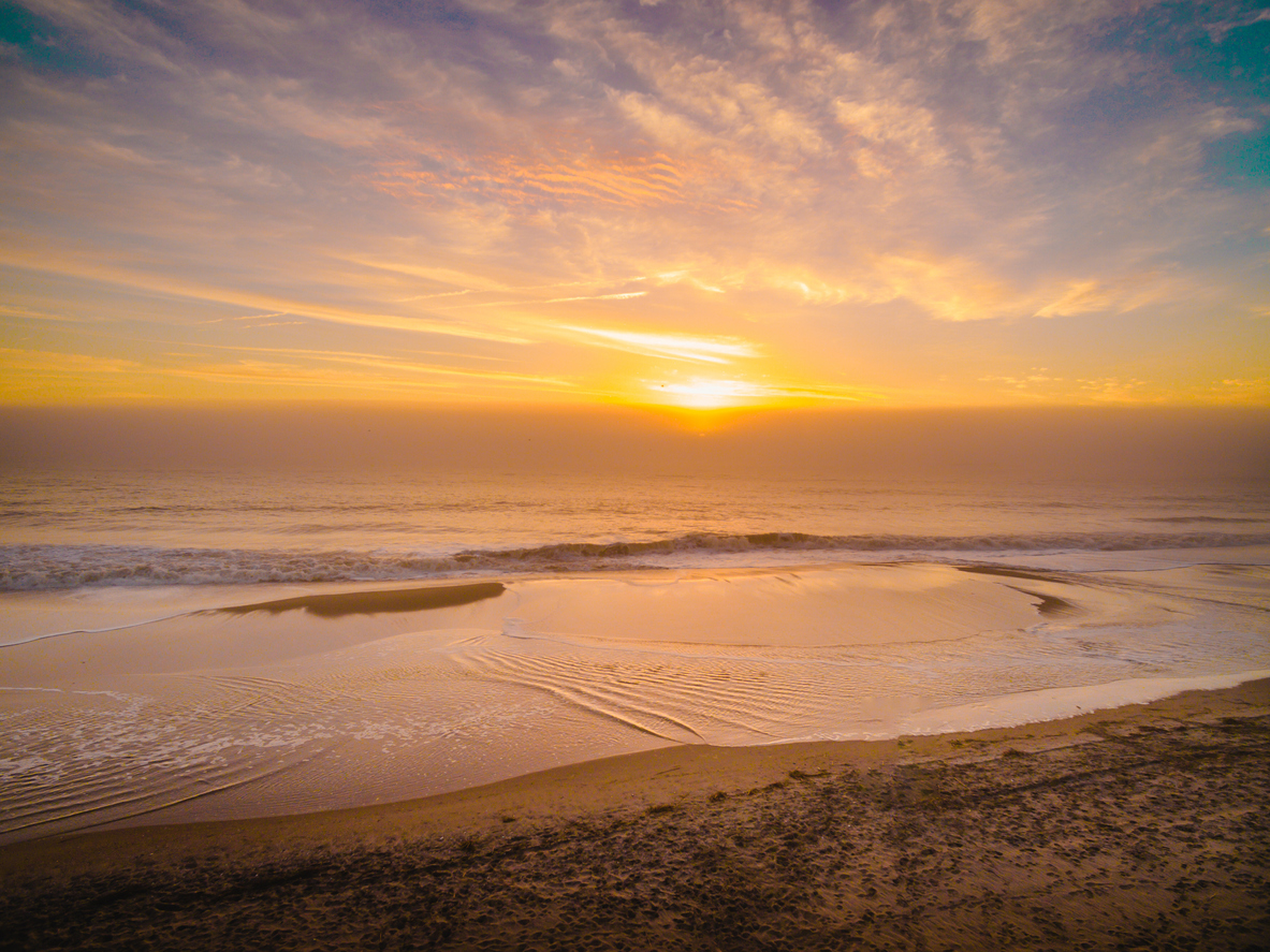 Dewey Beach All You Need to Know Delawonder