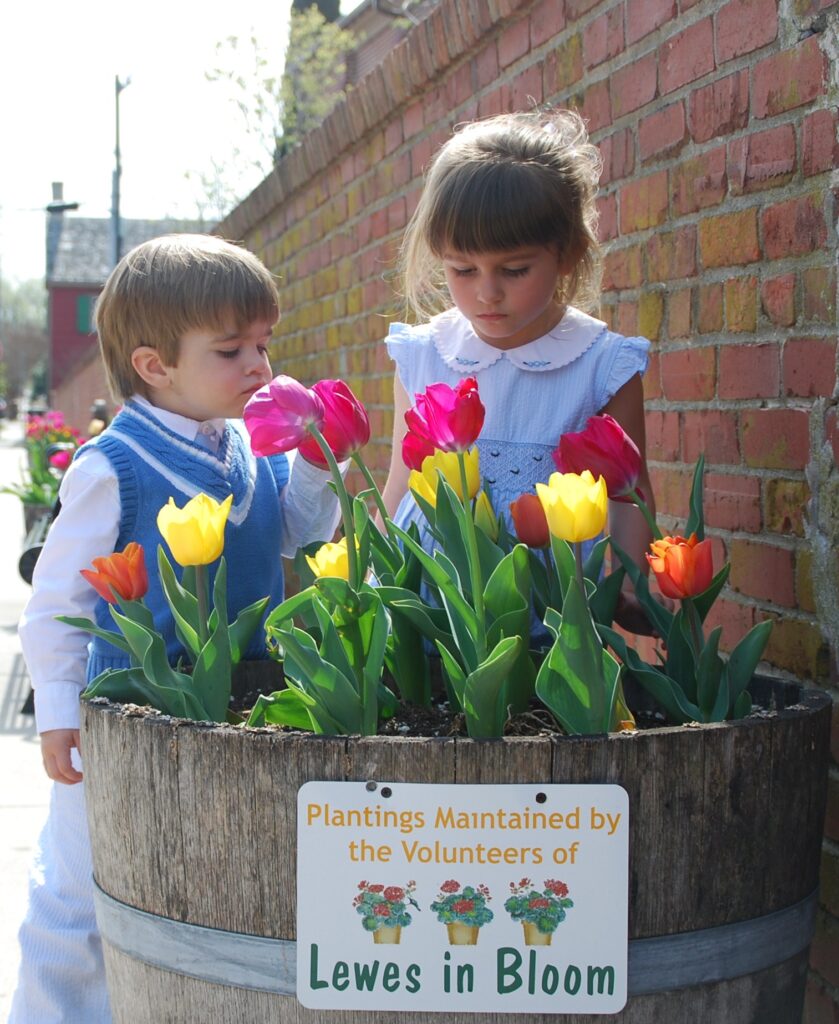 Two young children admire colorful tulips in a large wooden planter with a sign reading 